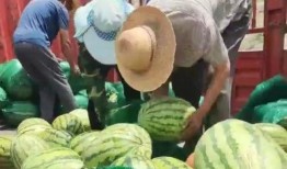 甘肃陇南网红吃瓜视频,揭秘当地特色美食与风土人情